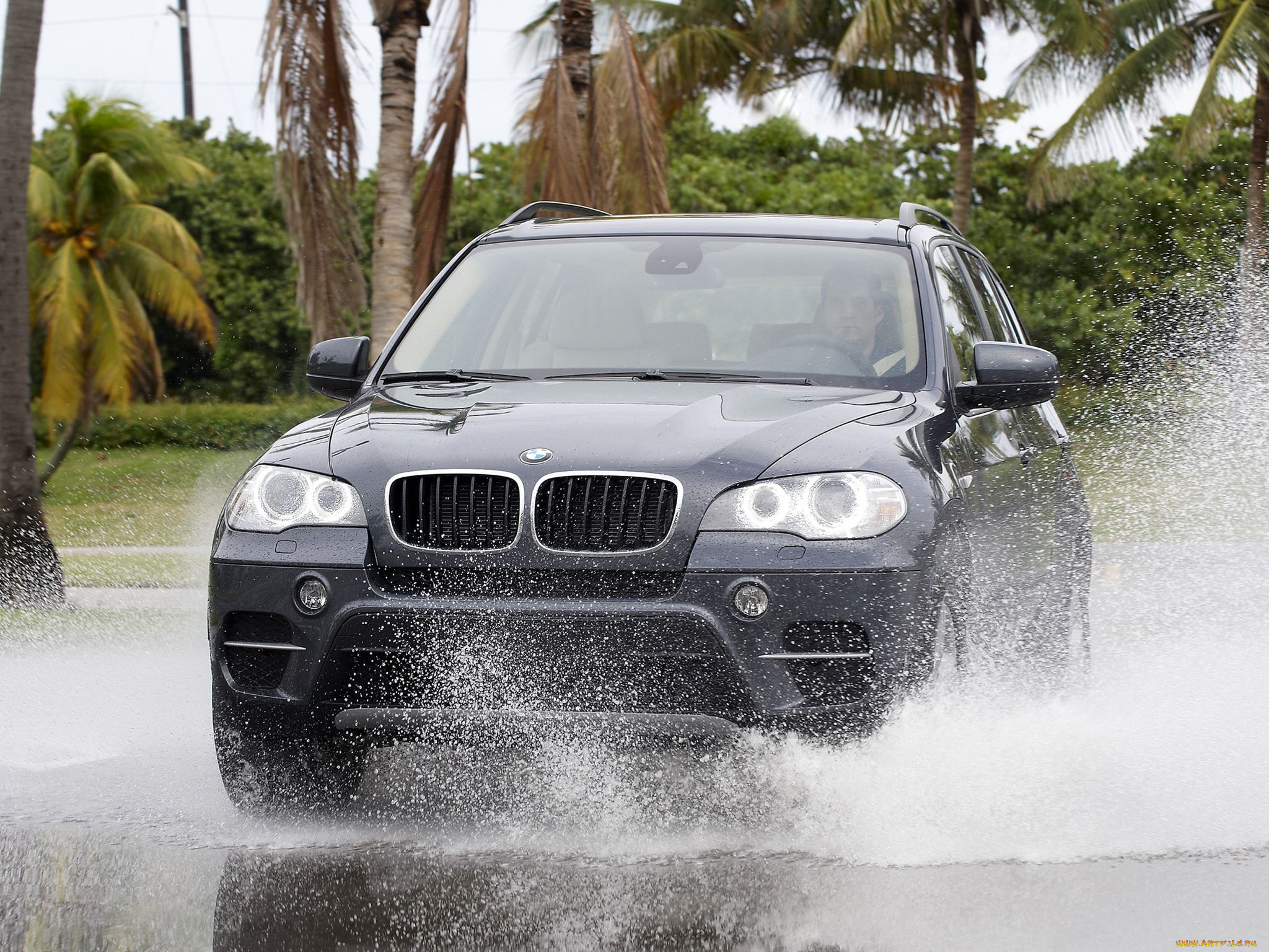 , bmw
